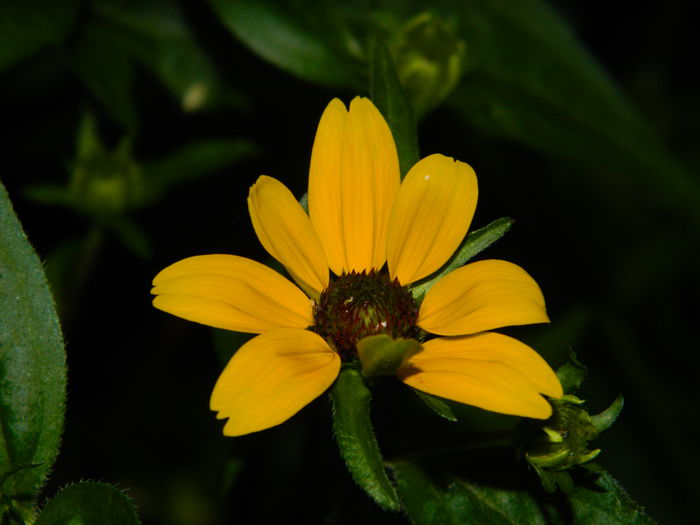 DSCN9278 - IUNIE_3_2014