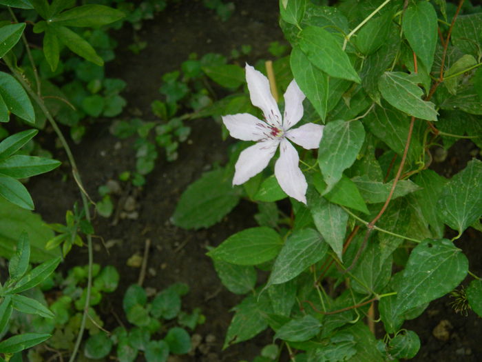 DSCN9409