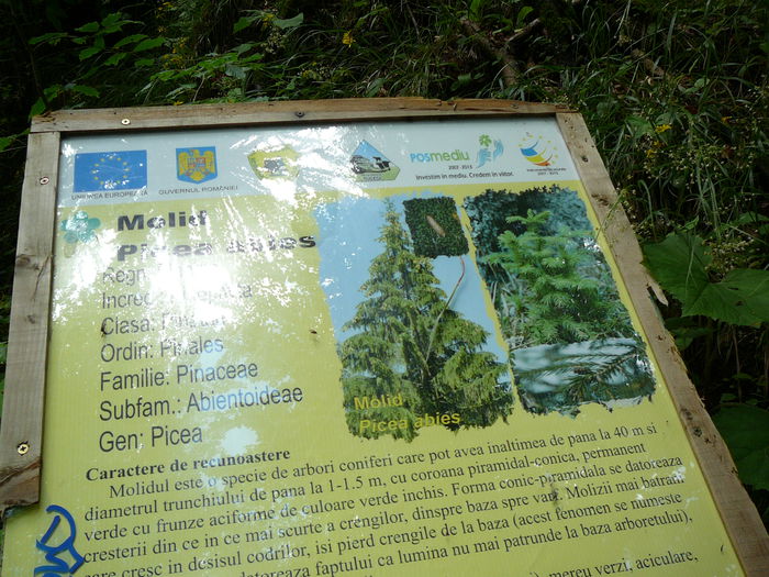 P1550288