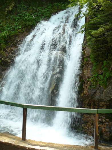 P1550316