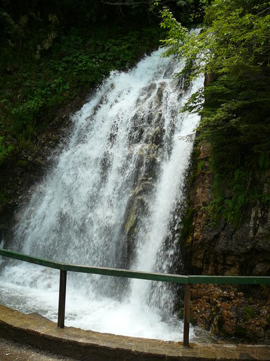 P1550327