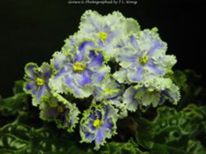 e0228aeab99ee195ff12793910e5c687