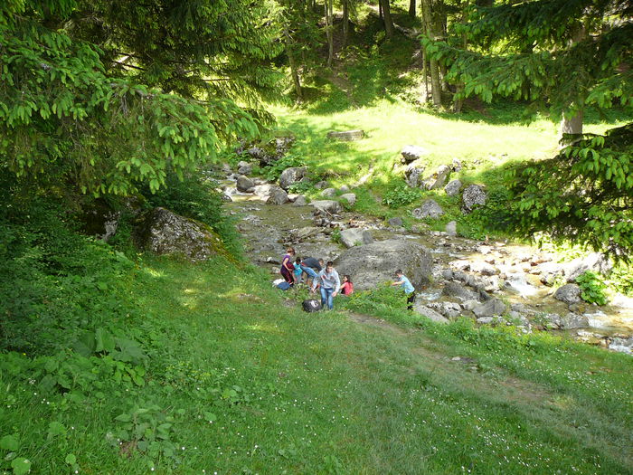 P1550341