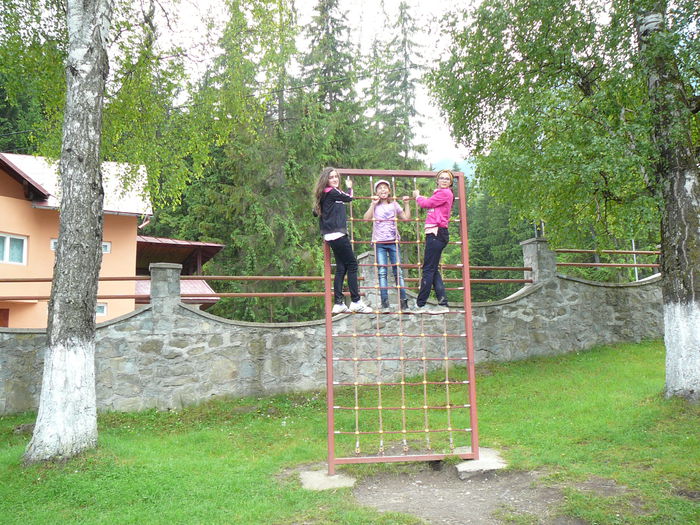 P1550352