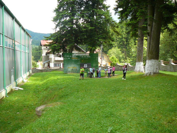 P1550357