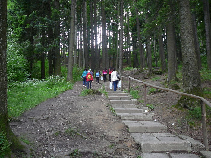 P1550401
