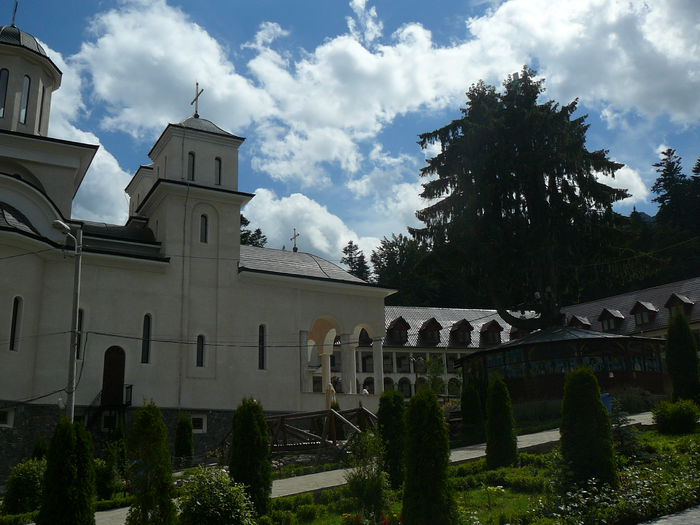 P1550411