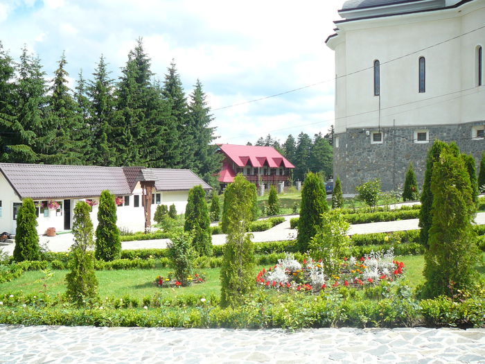 P1550412