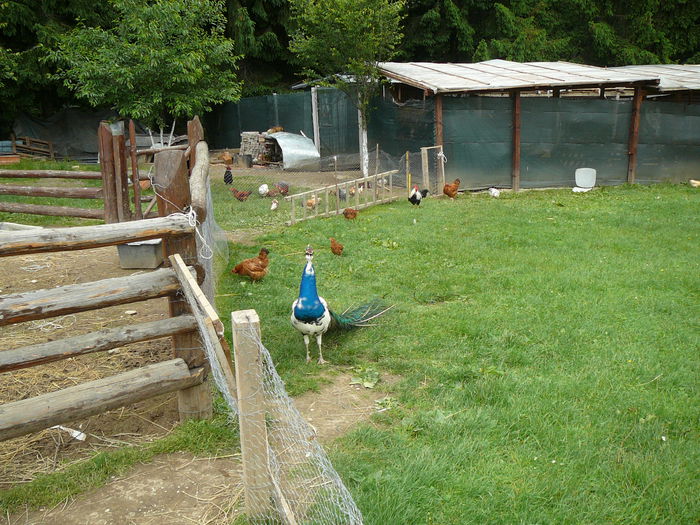 P1550415 - 2014 -Excursie 26-29 iunie - zi 1si2