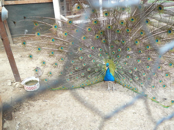 P1550420