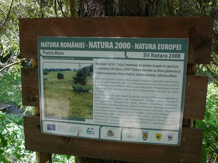 P1550490