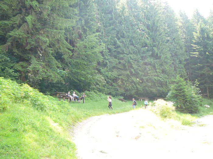 P1550491