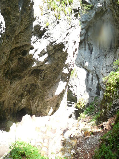 P1550538