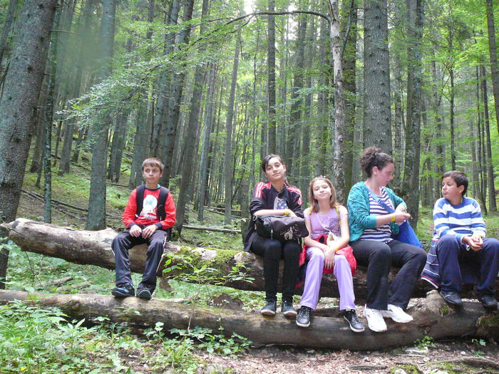 P1550545 - 2014 -Excursie 26-29 iunie - zi 1si2