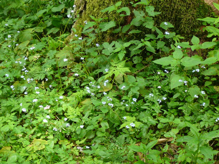 P1550566