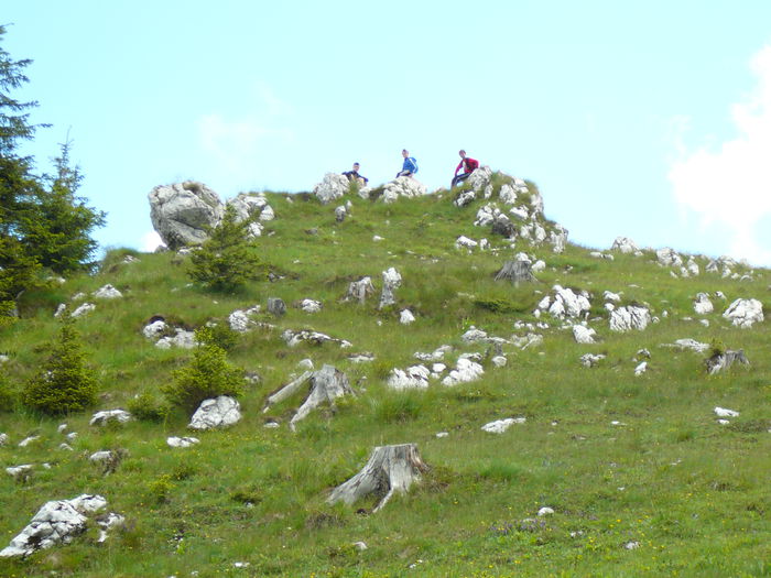 P1550576