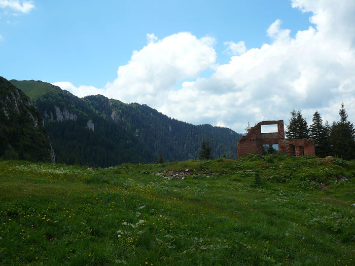 P1550589