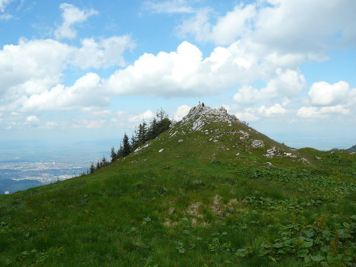 P1550590