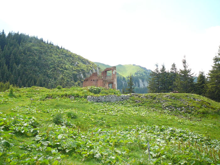 P1550592