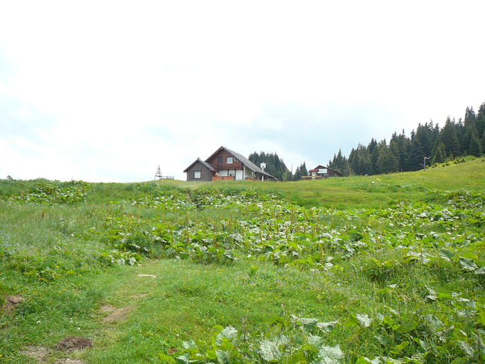 P1550593