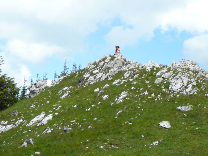 P1550594