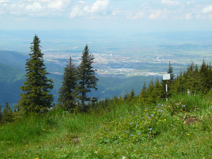 P1550595