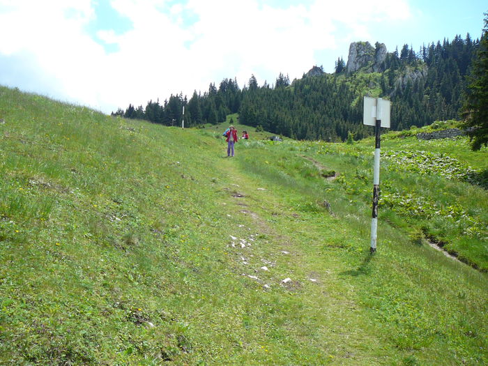 P1550601