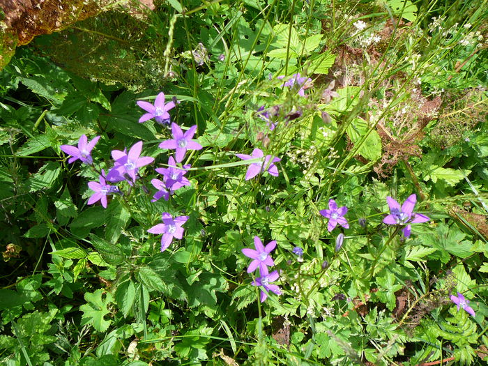 P1550608