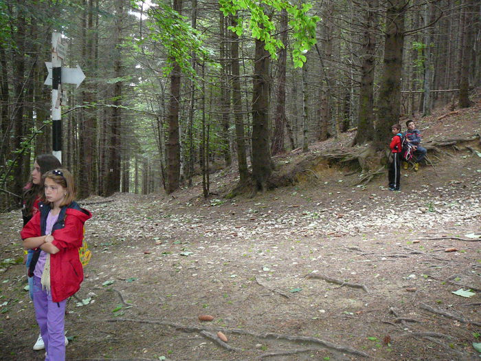 P1550616 - 2014 -Excursie 26-29 iunie - zi 1si2