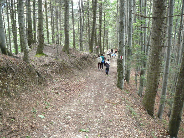 P1550625 - 2014 -Excursie 26-29 iunie - zi 1si2