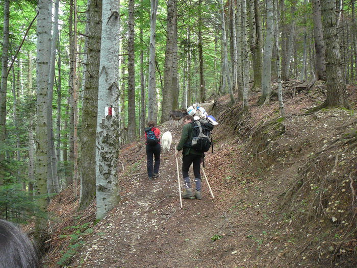 P1550627 - 2014 -Excursie 26-29 iunie - zi 1si2