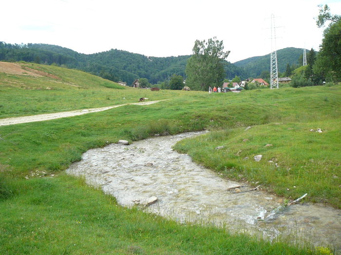 P1550637