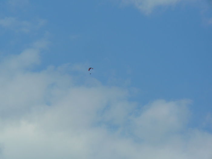 P1550638