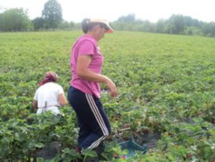 972958_656594444435483_1908034241_n