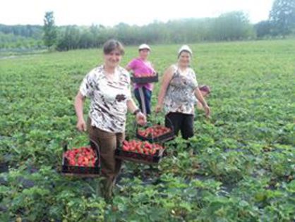 10410061_656594347768826_1406713376_n