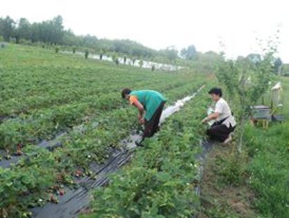 10416694_656594574435470_1576818038_n