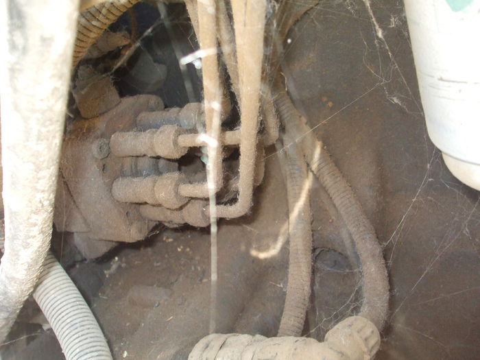 DSCF6480 - MAN_detalii