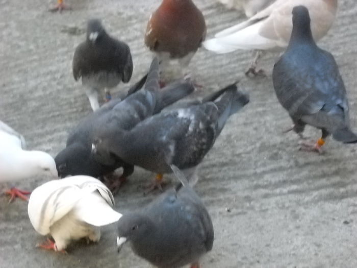 BAIETI HAIDETI LA MASA....