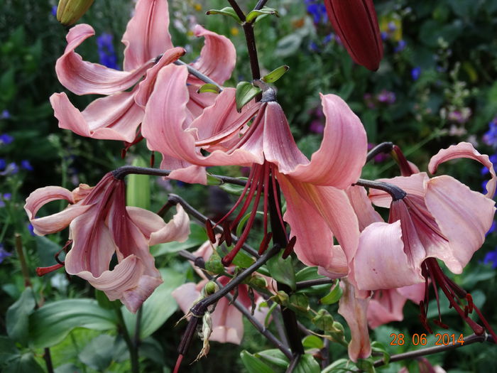 DSC05510