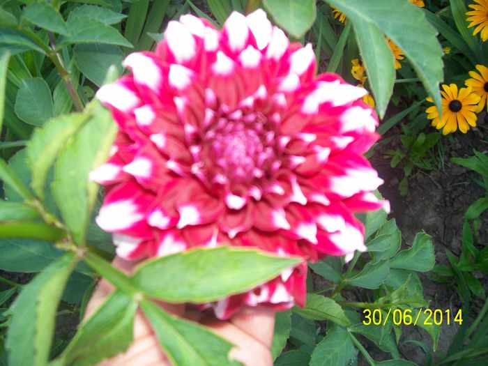 101_6557 - PENTRU UN SOMN LINISTIT