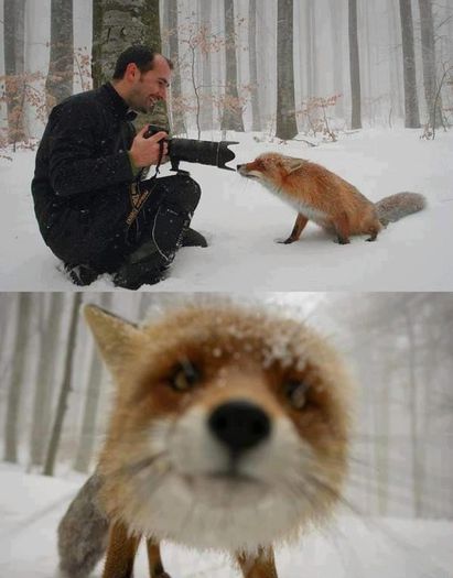  - Fotografii inedite-1
