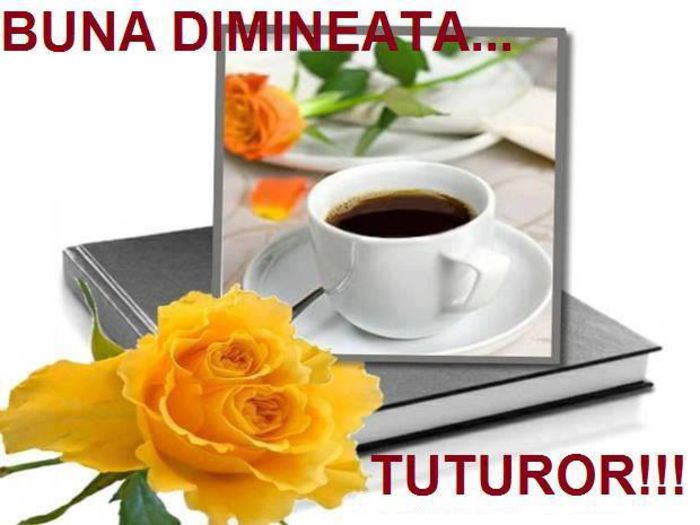 10402510_674621275938373_6824515795577256890_n - buna dimineata la toti