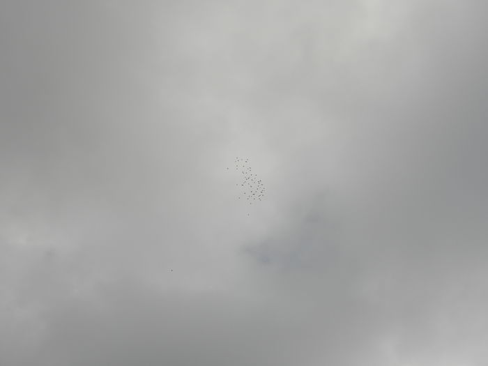 P6300012