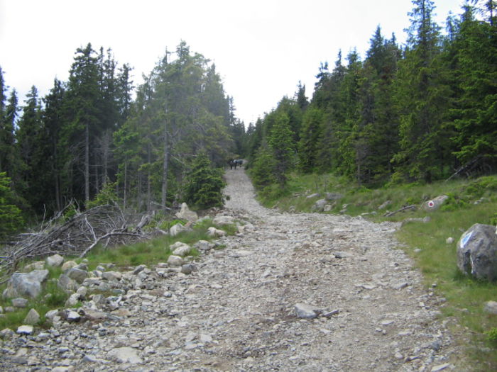 IMG_0057; Nici o cărare, doar drumul pietruit incomod pentru urcare.
