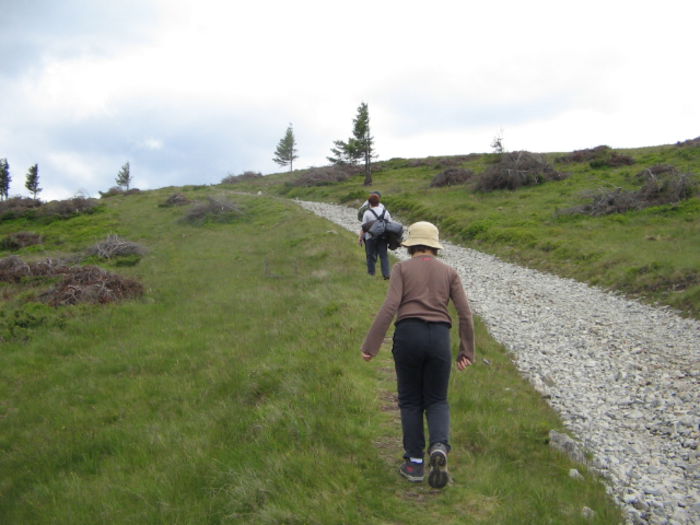 IMG_0064; Spre vârful Vlădeasa.
