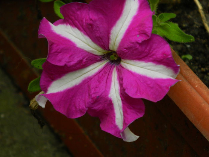 DSCN9609