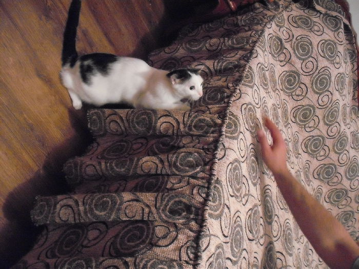 2014-04-21 20.08.21 - Copy - FELIX