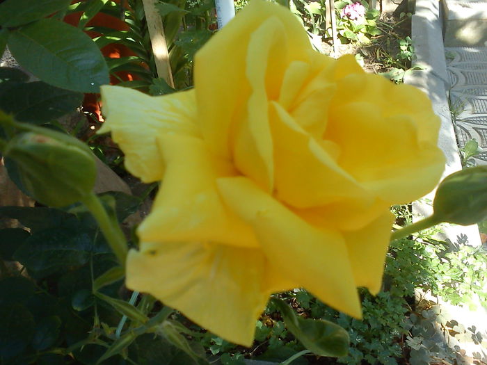 DSC00010