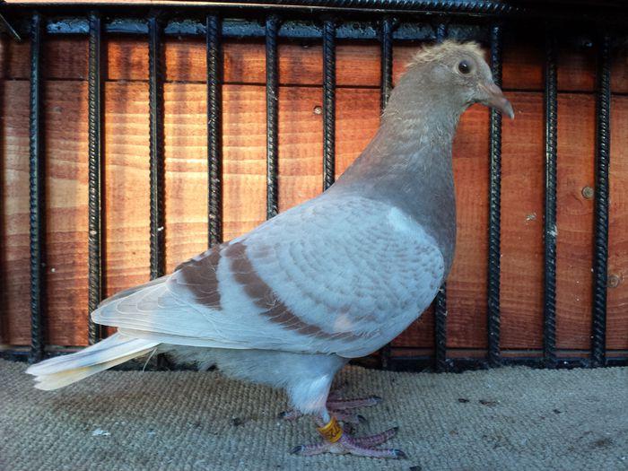 20140616_210640 - E-Amintiri