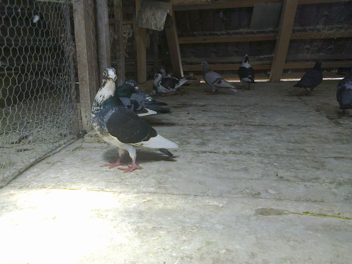 Imag 011096